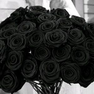 Meet your Posher, Danny